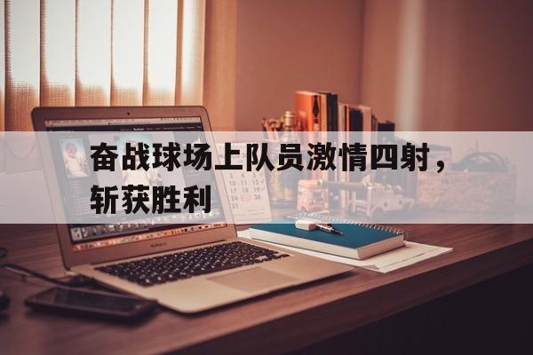 奋战球场上队员激情四射，斩获胜利的简单介绍
